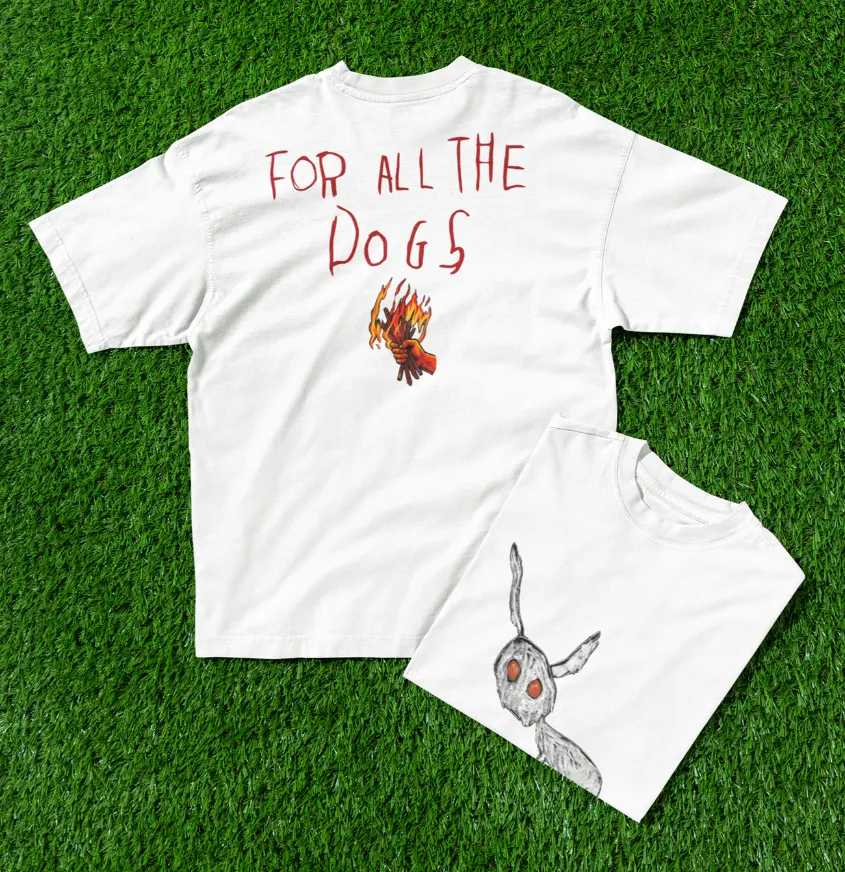 drake for all the dogs t-shirt