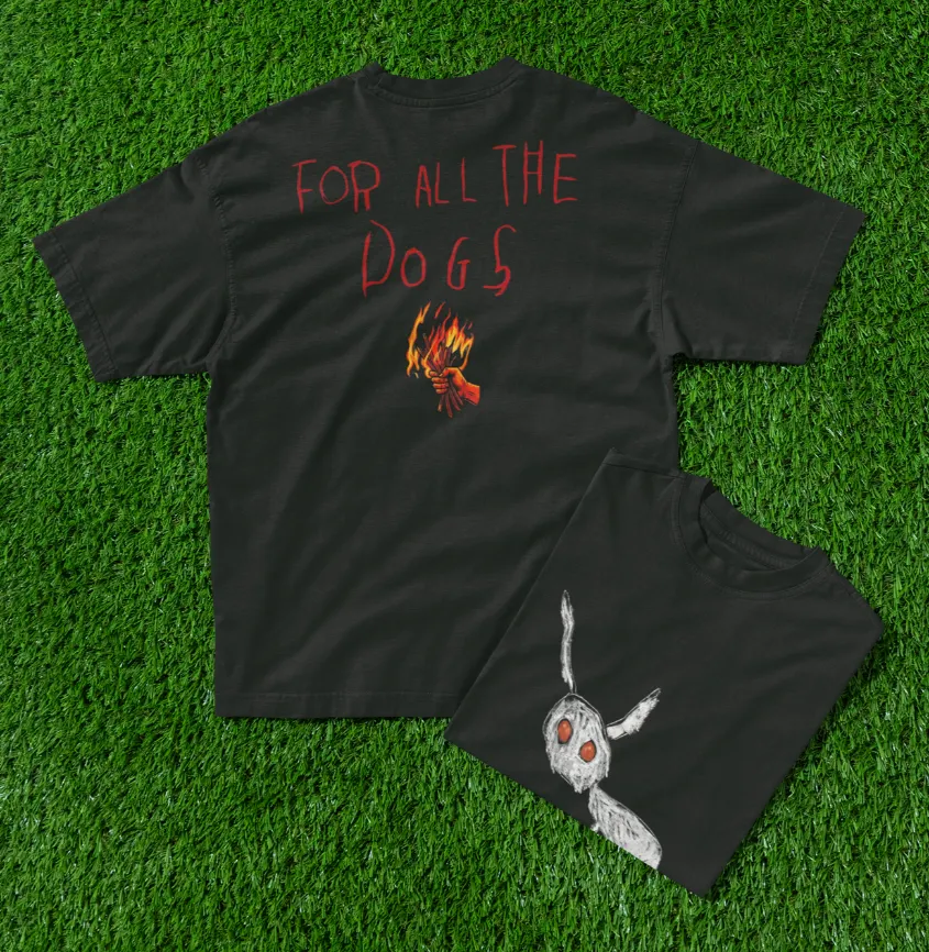 drake for all the dogs t-shirt